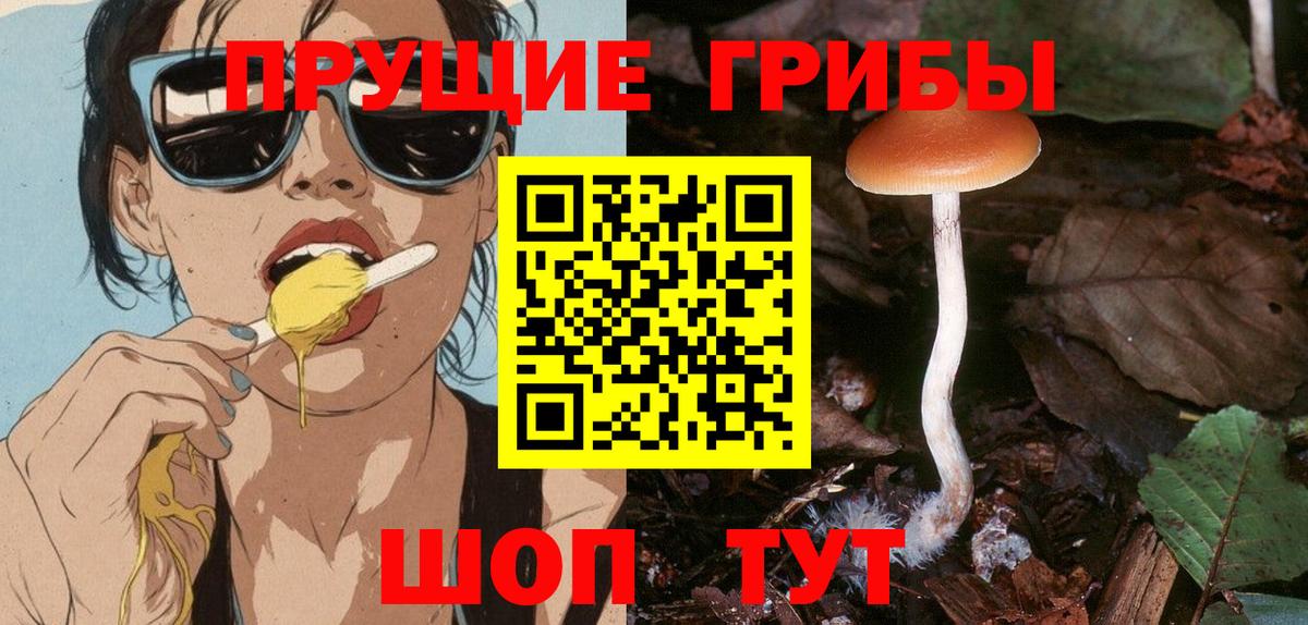 Псилоцибиновые грибы Psilocybine cubensis  Вход с VPN  Галлюциногенные грибы ЛСД  Камень-на-Оби 